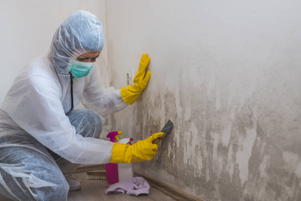 Mold Remediation for Rental Properties in Guymon, OK